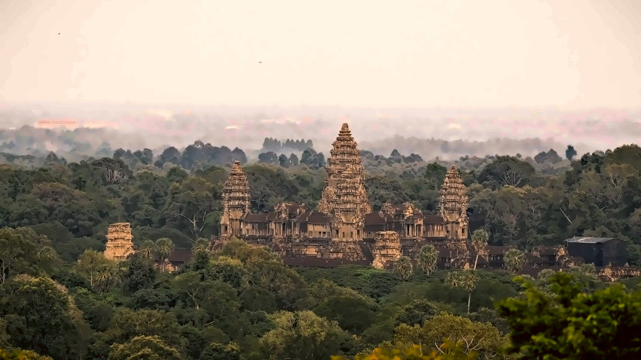 Angkor Wat rising above the jungle at golden hour